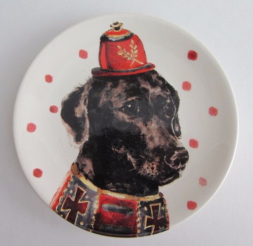 Magenta black labrador dog - magenta,