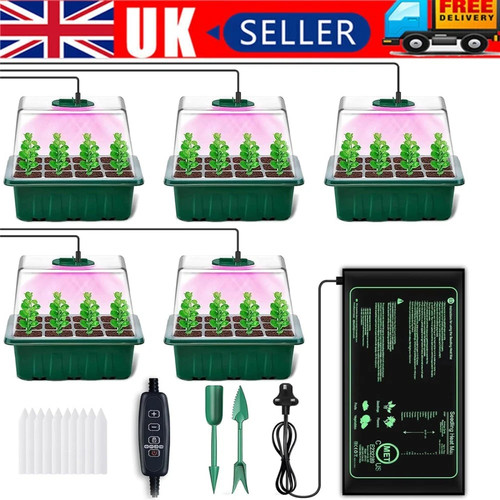 Plant propagator seed - propagator, tray