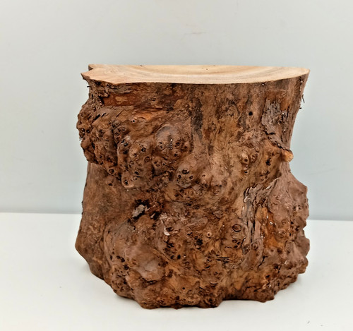 Burr elm live - burr, woodturning