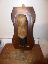 Taxidermy Deer Slot by W.W.Roe taxidermist
