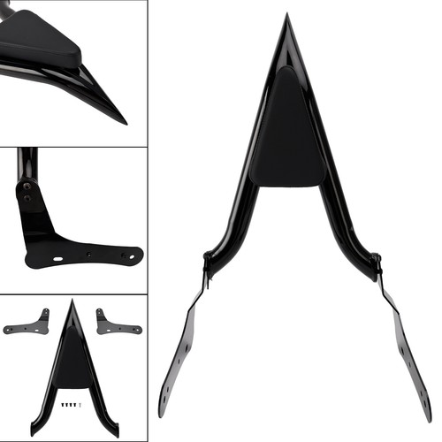 Passenger sissy bar - passenger, backrest
