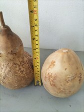 SET OF 2 DRIED AND WASHED