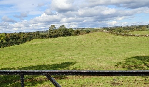 Photo 12x8 grazing - photo, land