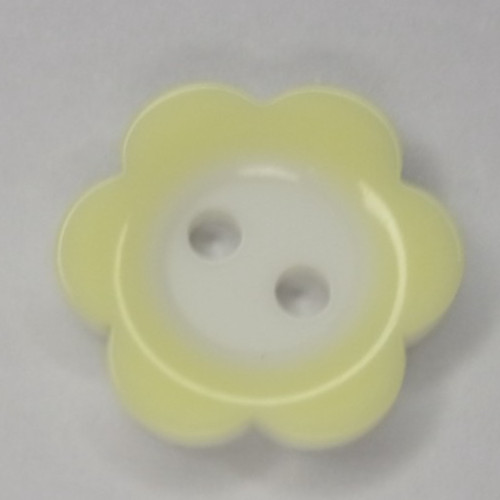 Coloured rim daisy flower - x,