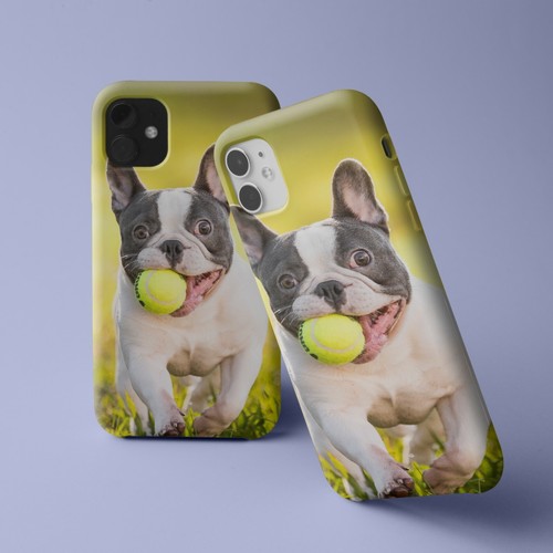 French bulldog cute - french,