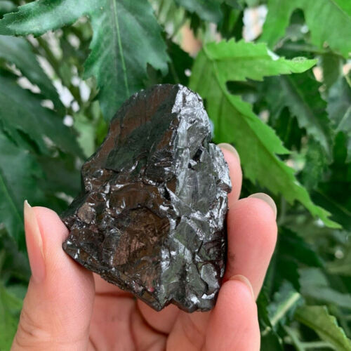 Elite noble shungite grade - noble, shungite,