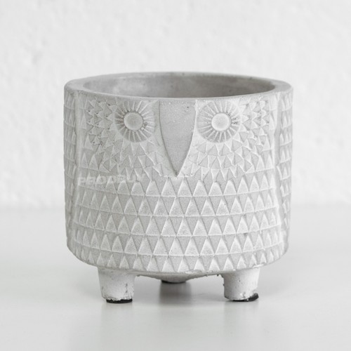 Plant pot indoor houseplant - plant,