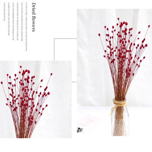 50x real happy flower - real,
