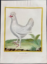 Martinet & Buffon - Chicken. 98-65 - 1765 Hand-colored Engraving