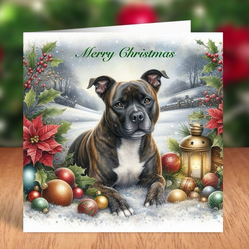 Staffordshire bull terrier dog - staffordshire,