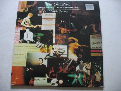The chameleons here today - the,