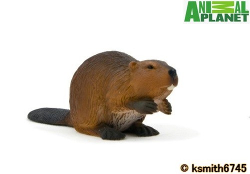 Mojo animal planet beaver - animal,