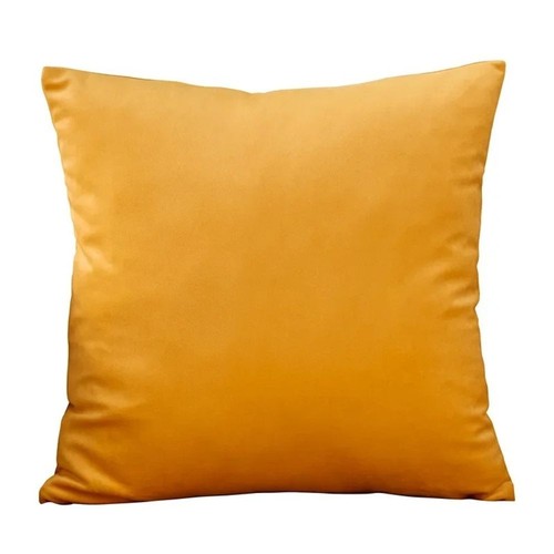 Plush velvet cushion - plush,