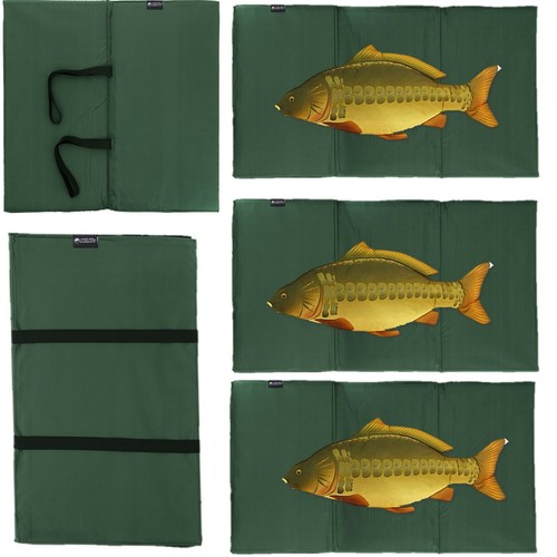 New ngt carp - new,