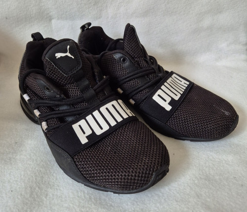 Puma cell regulate running - puma,