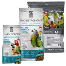 Parrot Cockatiel Food Hagen