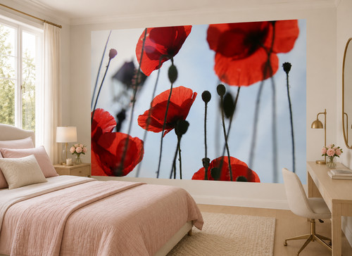 Wallpaper for woman s - for, woman's