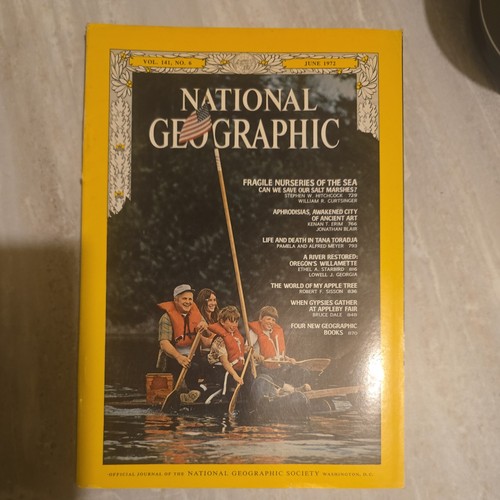 Vintage national geographic - national,