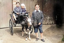 rpc15088 - 3 Children with