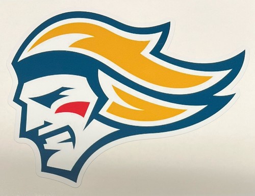 Belfast giants new - belfast, ice