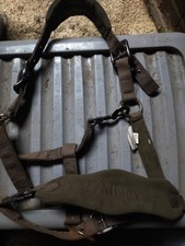 Lemieux Oak Pony Head