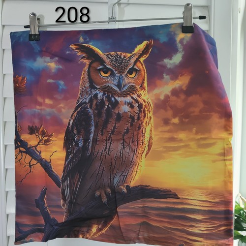 Owl perched sunset soft - in,