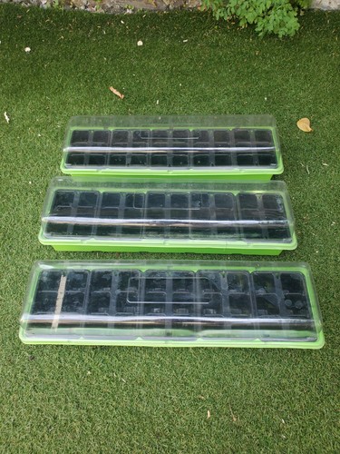 Seedling propagators - seedling,