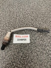 BUELL 1125R EXHAUST LAMBDA