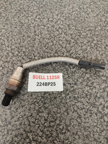Buell 1125r exhaust lambda - 1125r,