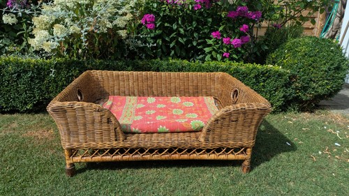 Oka rattan mattaban wicker - oka, dog