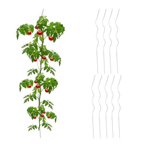 Tomato stakes vegetable - tomato,