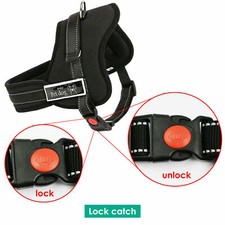 Dog Harness Collar Lead