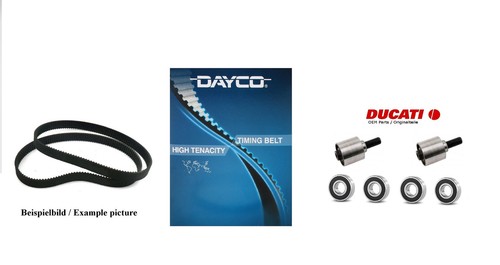 Ducati oem motor timing belt - oem,