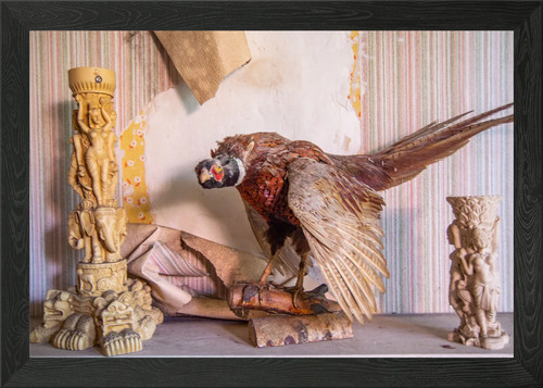 Pheasant and ivory - , wall
