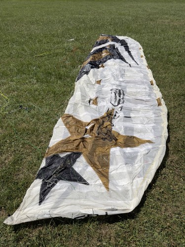 Flysurfer psycho 10m deluxe - flysurfer,