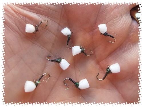 Size quill suspended - 16,