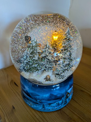 Vintage snow globe - globe,