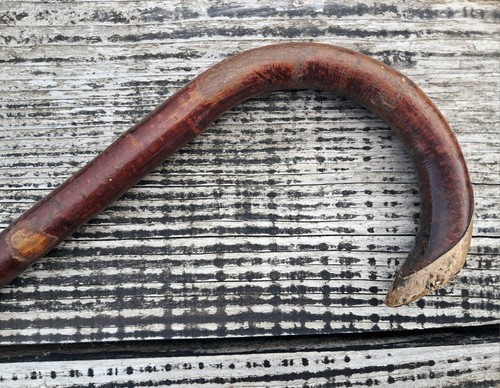 Antique victorian bentwood - victorian,