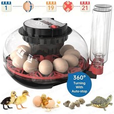 Digital 12 Egg Incubator