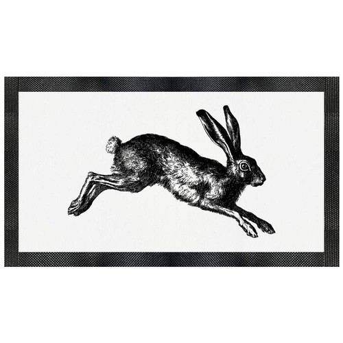 Hare rabbit jumping - 'hare,
