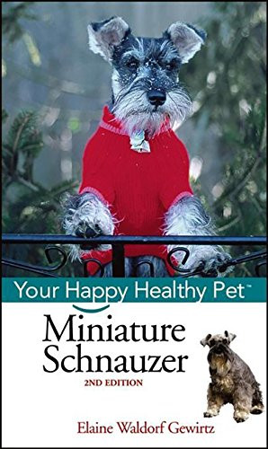 Miniature schnauzer your - miniature, schnauzer: