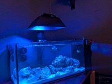 Eco Tech Radion Xr15 Gen 5/6