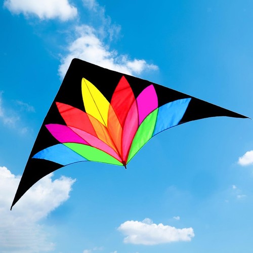 Giant delta kite - delta, large
