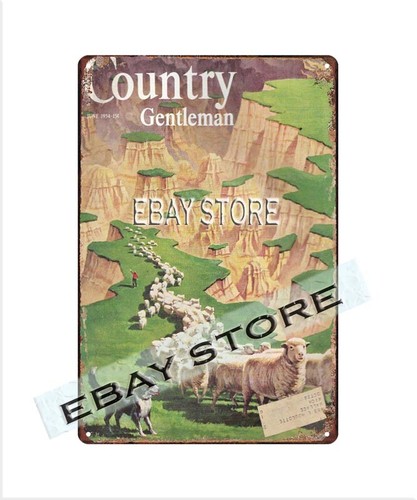 Country gentleman 1954 sheeps - country,