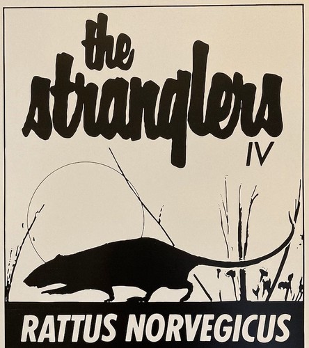 Stranglers punk band - stranglers,, 70's