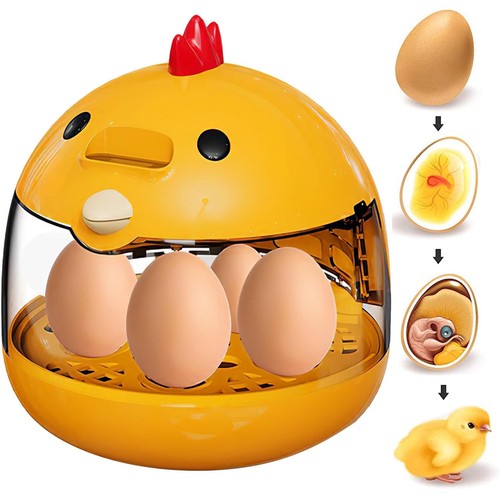 Digital poultry hatcher - poultry, egg