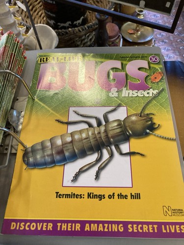 First editions bugs - 30,