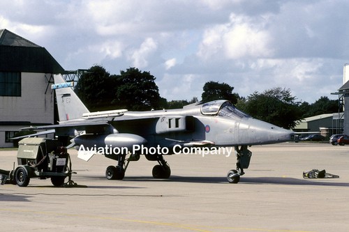Raf squadron sepecat - 6, jaguar