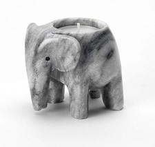 British Fossils Himalayan