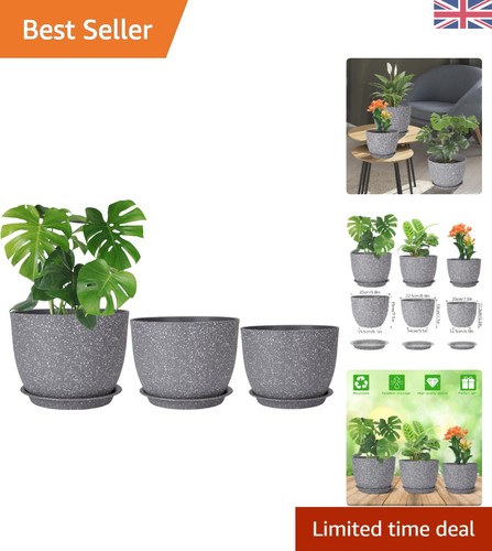 Self watering grey plant - grey, pots